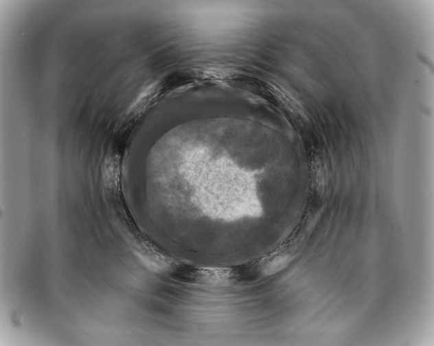 X0000096140328200802081354
