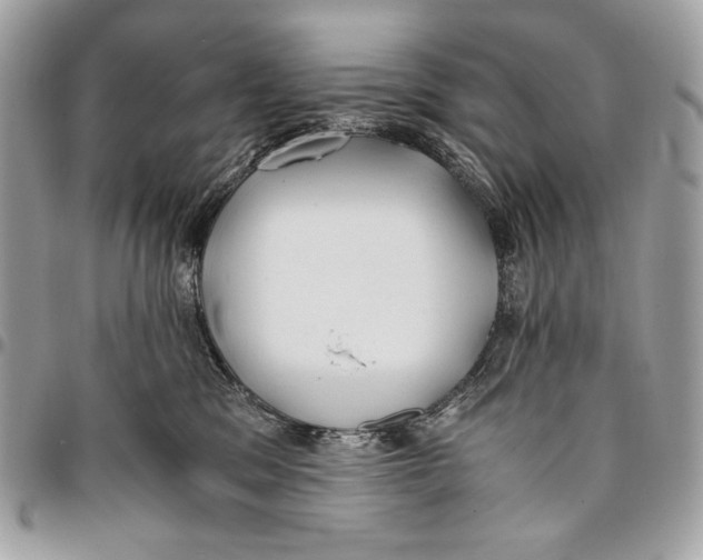 X0000096140329200802081354