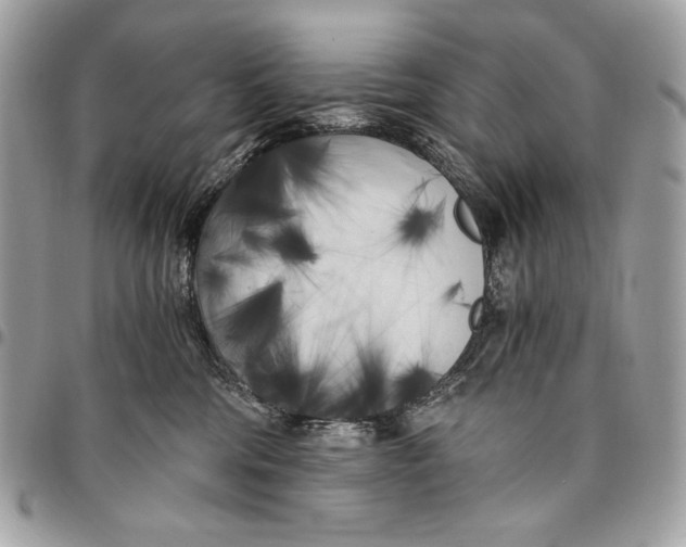 X0000096140330200802081354