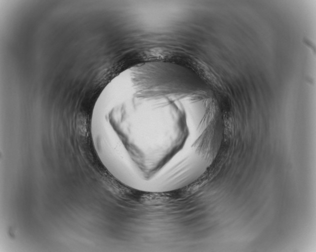 X0000096140331200802081354