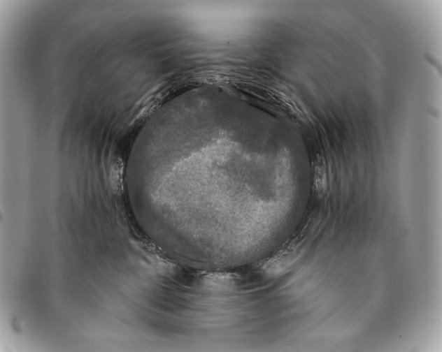 X0000096140332200802081354