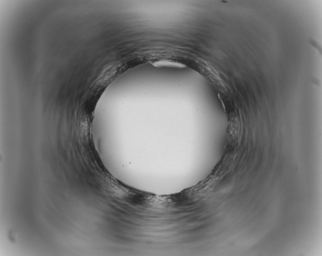 X0000096140333200802081354