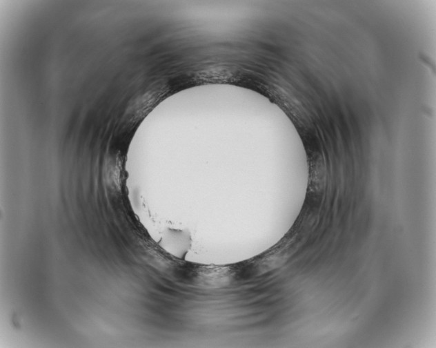 X0000096140334200802081354