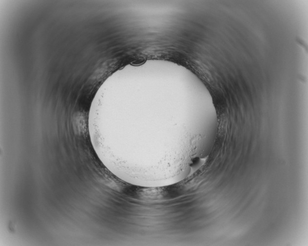 X0000096140335200802081354