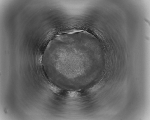 X0000096140336200802081354