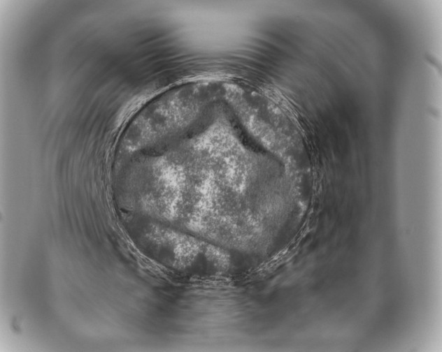 X0000096140337200802081353