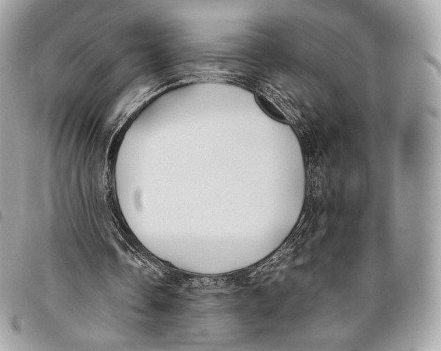 X0000096140338200802081353