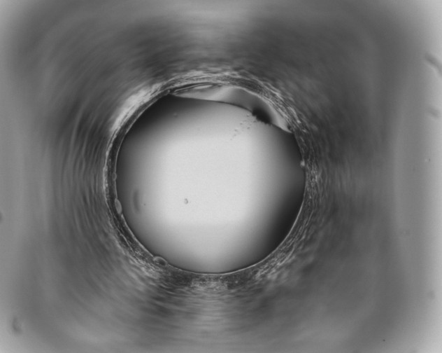 X0000096140340200802081353