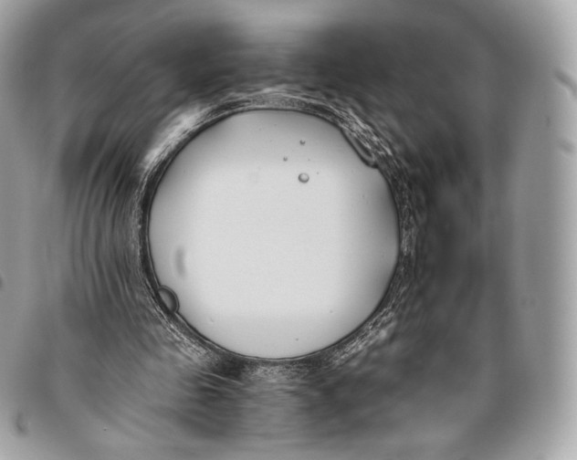 X0000096140341200802081353