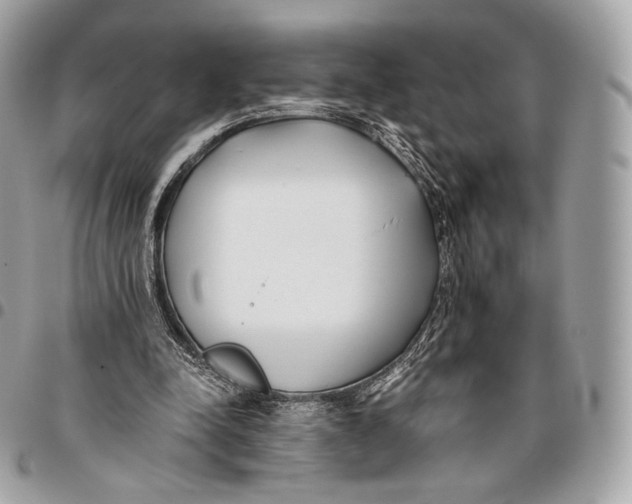 X0000096140342200802081353