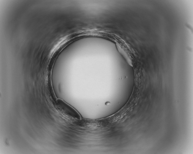 X0000096140344200802081353