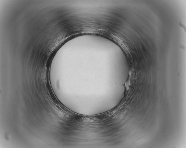 X0000096140346200802081353