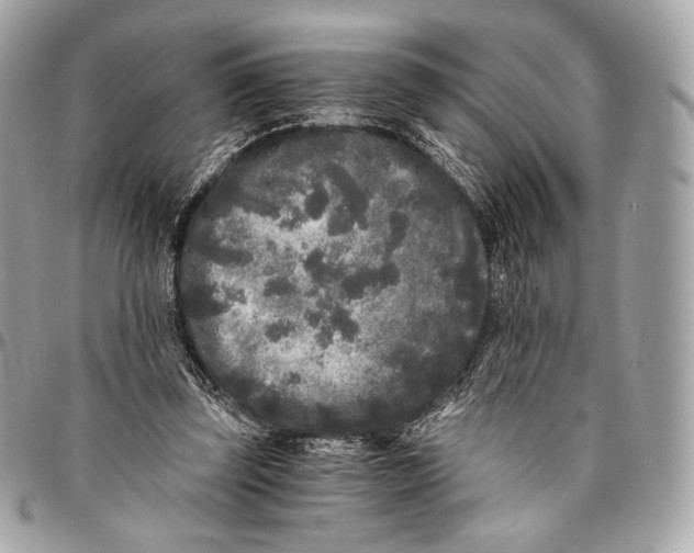 X0000096140347200802081353