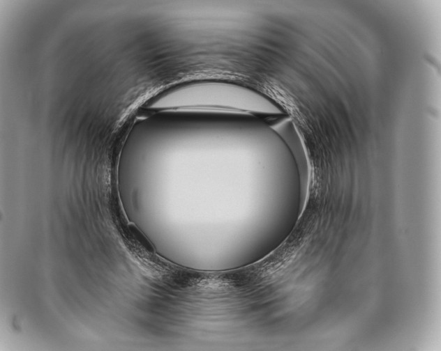 X0000096140348200802081353
