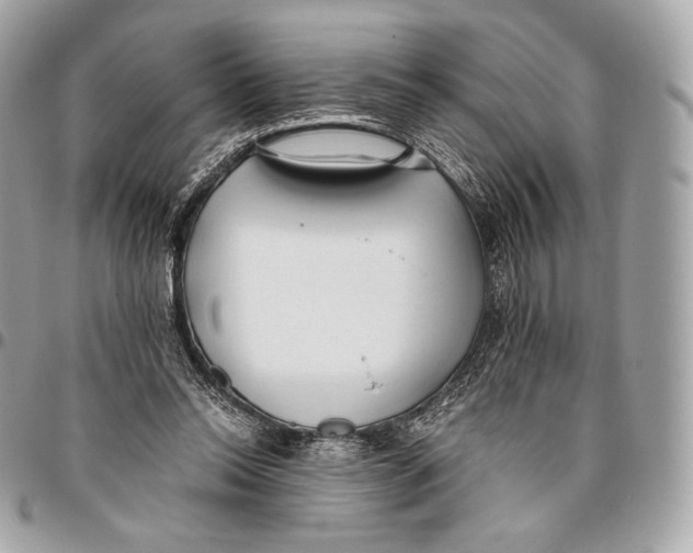 X0000096140350200802081353