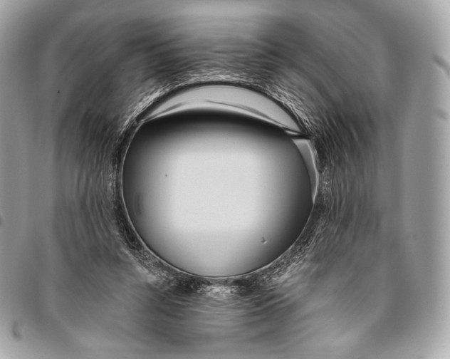 X0000096140352200802081353