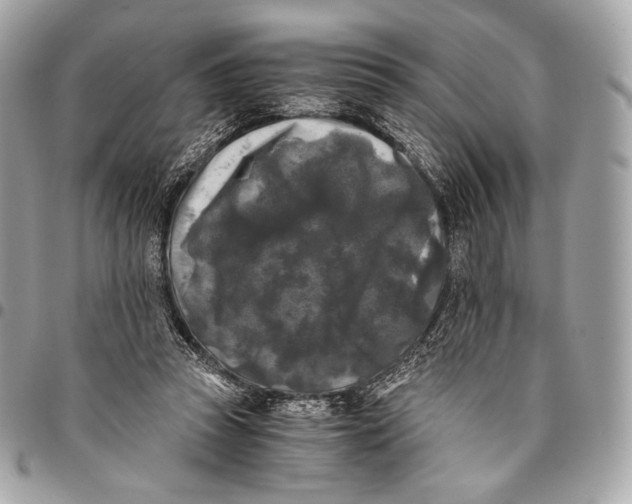 X0000096140353200802081353