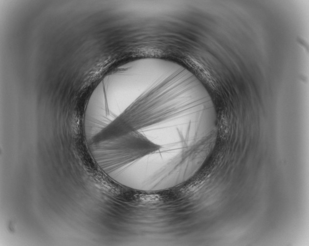 X0000096140355200802081353