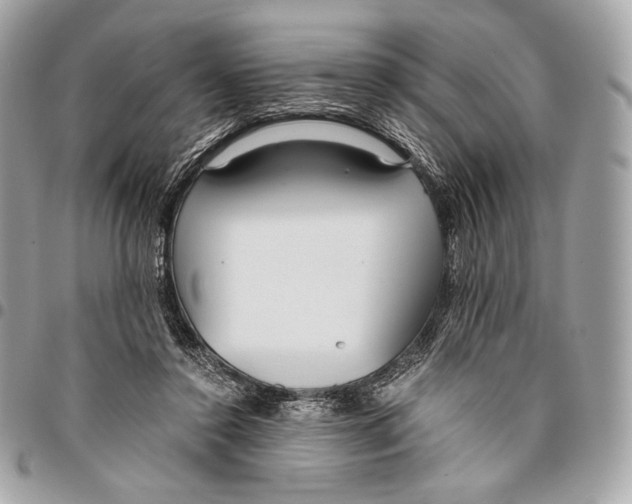 X0000096140356200802081353
