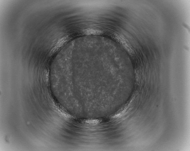 X0000096140357200802081353
