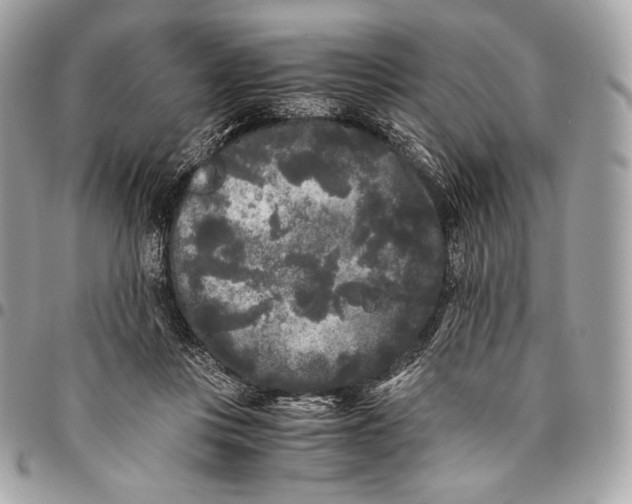 X0000096140359200802081353