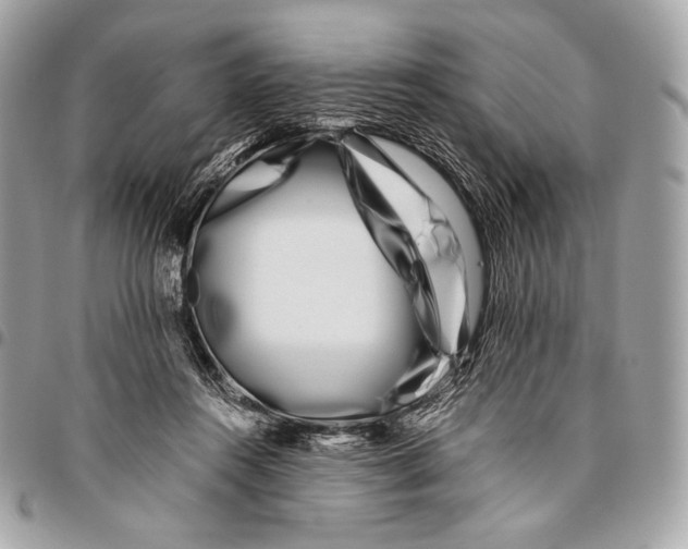 X0000096140360200802081353