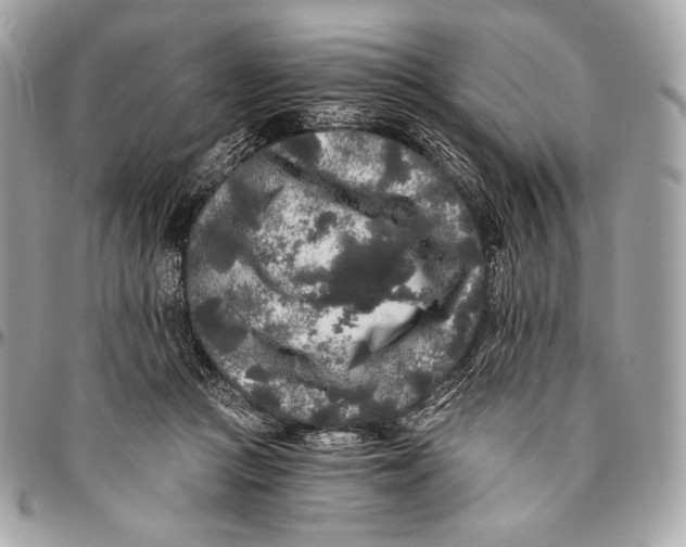 X0000096140361200802081353