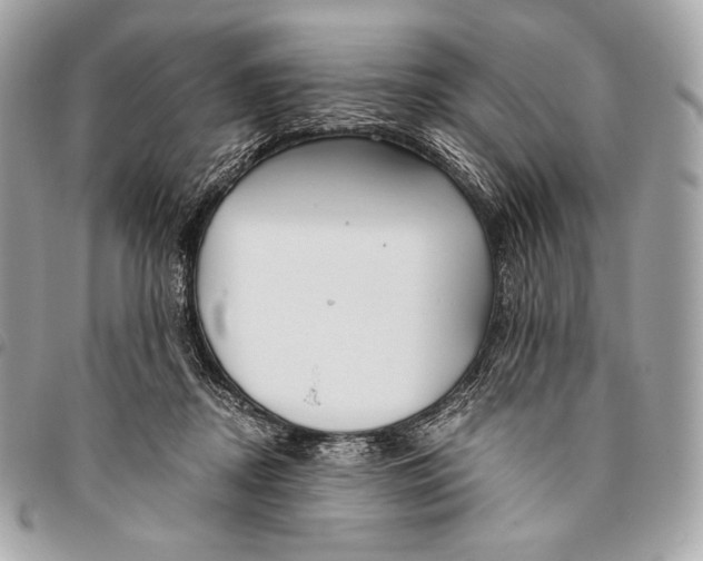 X0000096140362200802081353