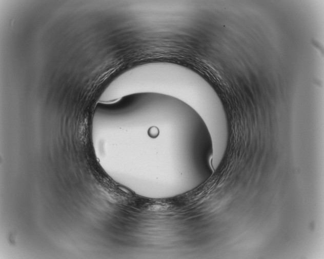 X0000096140364200802081353
