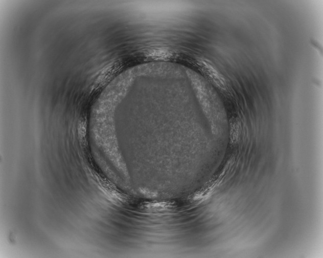 X0000096140365200802081353