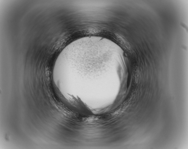 X0000096140366200802081353
