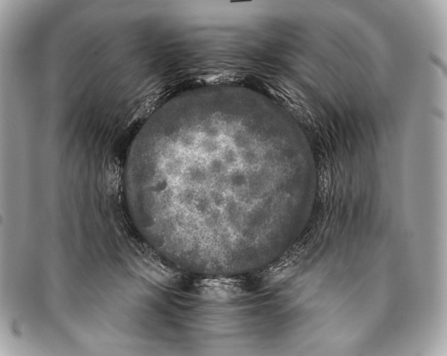 X0000096140367200802081353