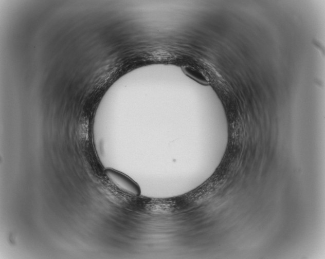 X0000096140368200802081353