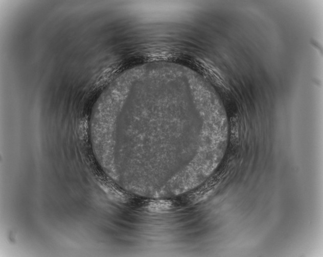 X0000096140369200802081353
