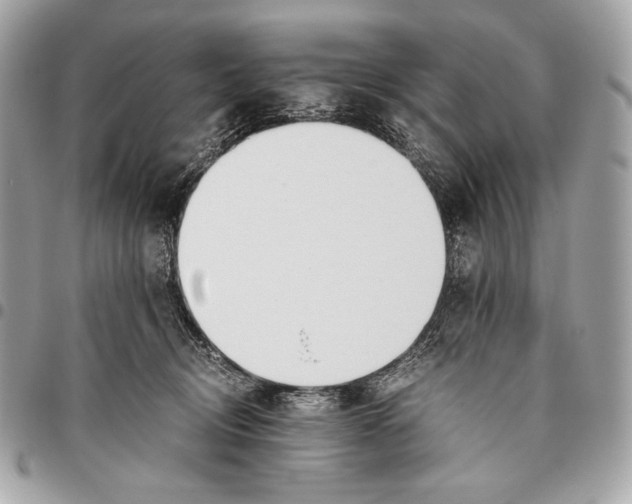 X0000096140370200802081353