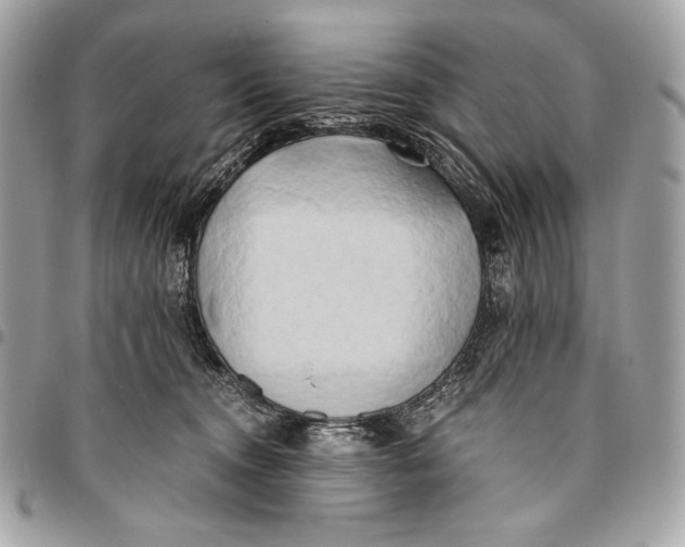 X0000096140372200802081353
