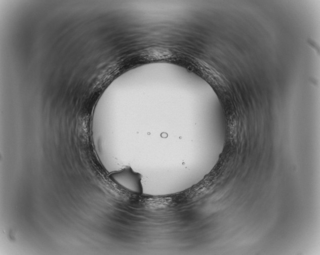 X0000096140373200802081353