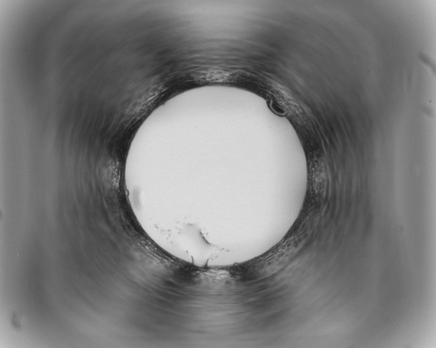 X0000096140374200802081353