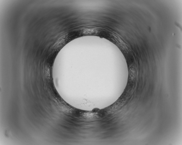 X0000096140375200802081353