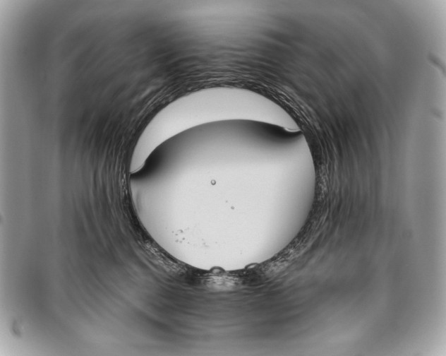 X0000096140376200802081353