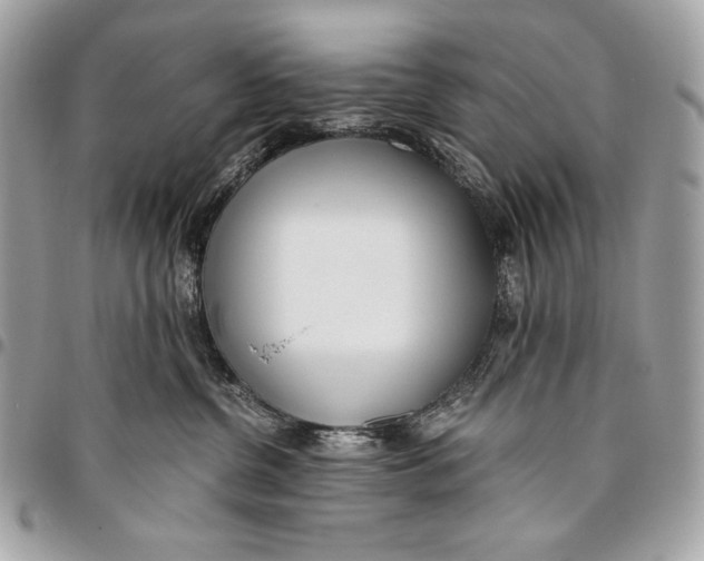 X0000096140380200802081354