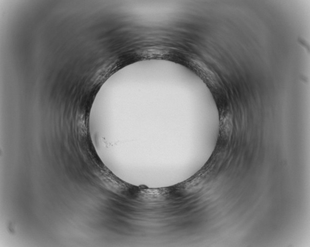 X0000096140381200802081354