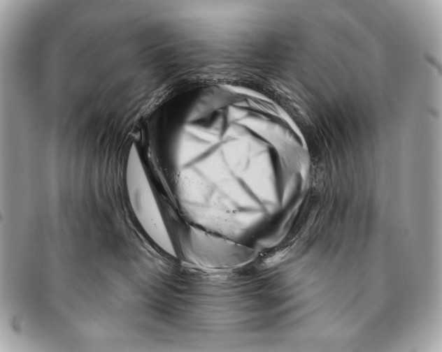 X0000096140382200802081354