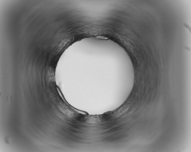 X0000096140384200802081354