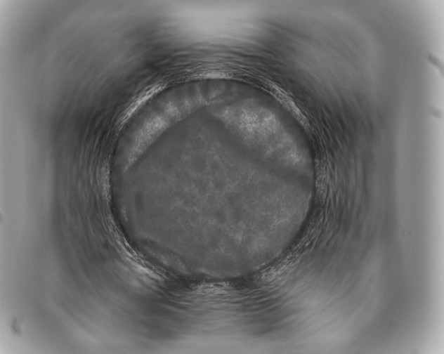 X0000096140386200802081353