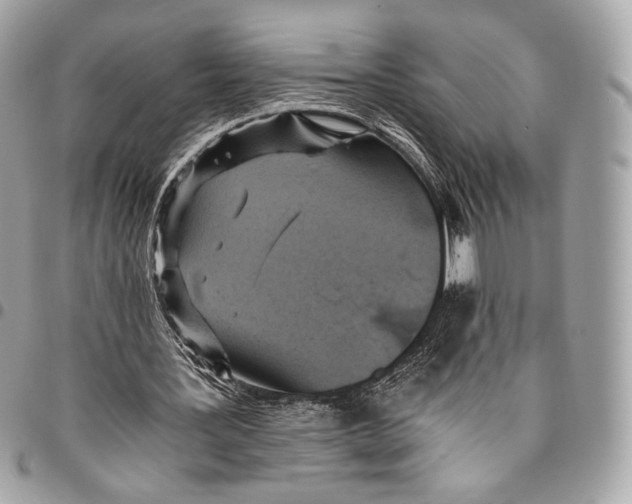 X0000096140387200802081353