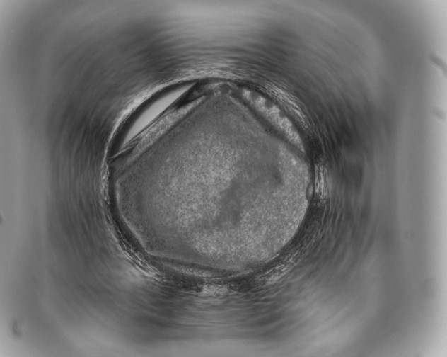 X0000096140388200802081353