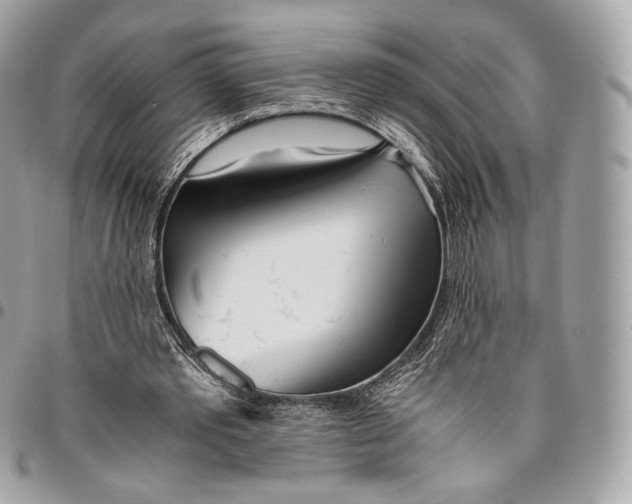 X0000096140389200802081353