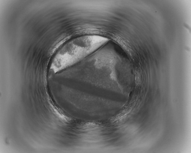 X0000096140390200802081353