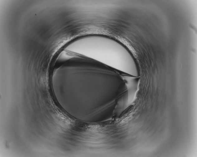 X0000096140391200802081353